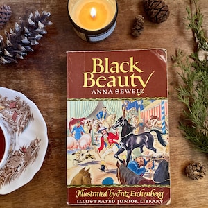 Black Beauty by Anna Sewell Vintage Paperback Book