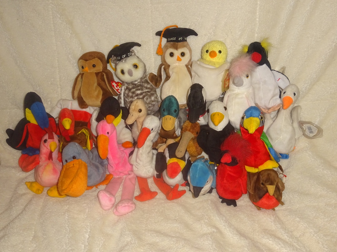 Ty Beanie Baby Birds each Sold Separately Etsy