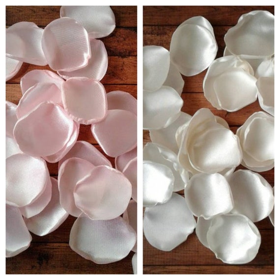 Pink and White Ivory Rose Petals