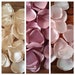 Mauve, champagne, and blush pink rose petals for wedding table decor, flower petal for baskets and bridal shower decor, altar flowers toss 