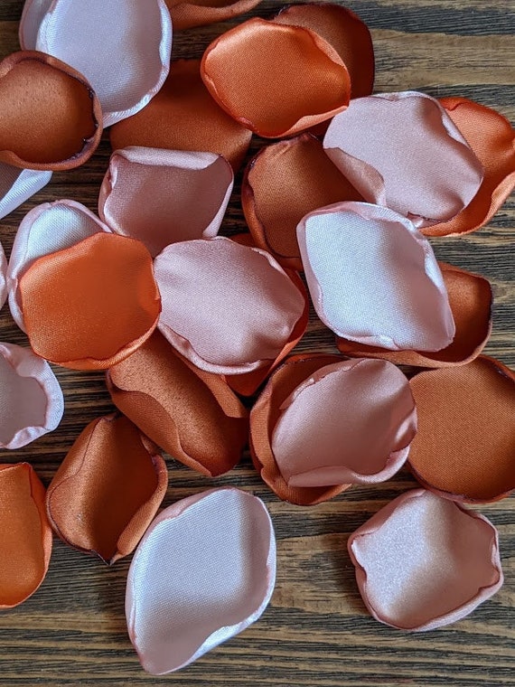 Terracotta and burnt orange wedding decor, rose gold and blush rose petals, flower girl, custom fall aisle runner decor, table decorations Il_570xn