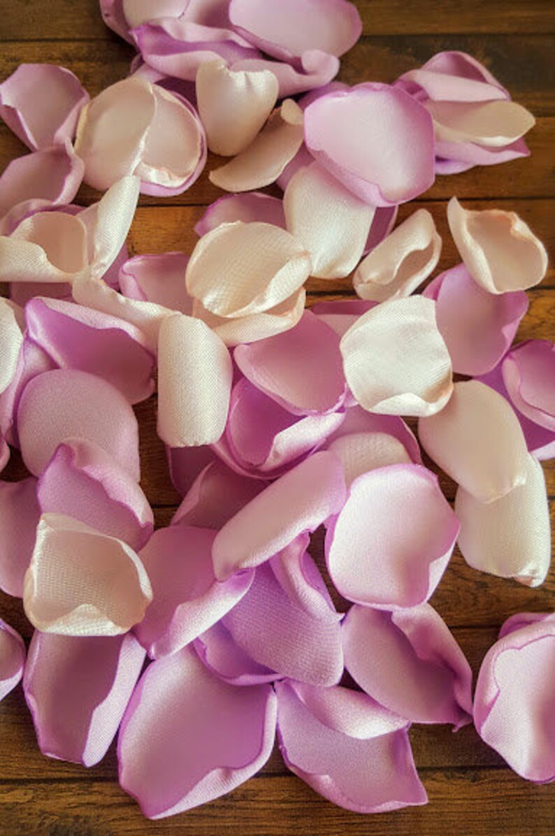 Blush Pink Rose Petals Lilac Rose Petals Dusty Lilac Wedding Etsy