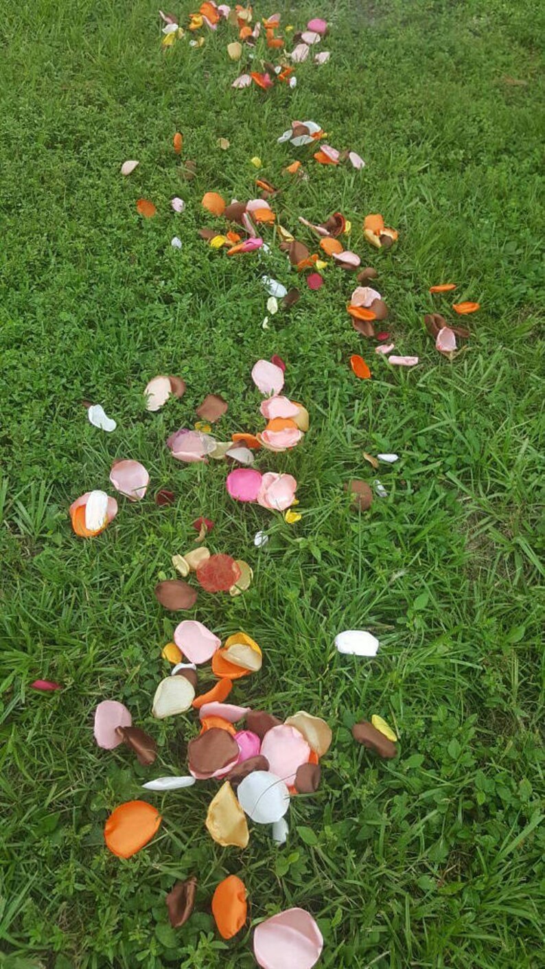 rose petals flower girl petals chocolate wedding wedding petals brown rose petals Chocolate rose petals scatter petals fall wedding.