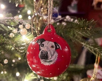 Pet Painted Bauble, Custom Ceramic Bauble in red.