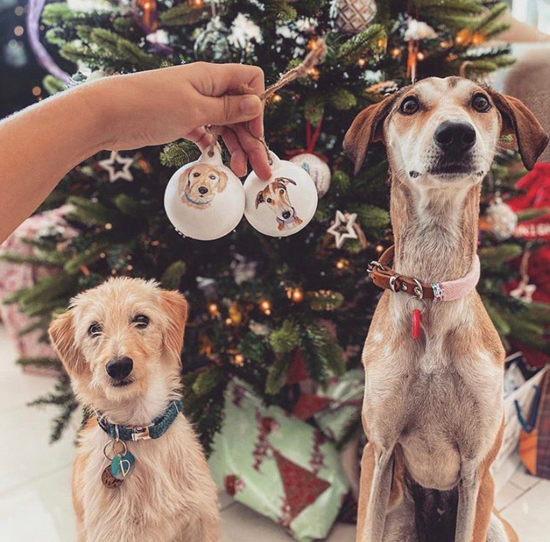 Custom Pet Bauble, Ceramic Ornament, Christmas Tree Decoration, Dog Memorial, Xmas Decor, Holiday Gifts, Personalised Tree Hanging, Cat Gift image 6