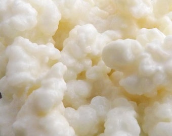 Organic Live Milk Kefir Grains.  Grown in Organic Full Fat Cow's Milk. High Quality. Free 1st Class Postage.