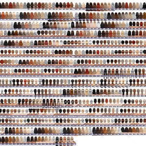 Op de afbeelding: Een grote selectie digitale illustraties van verschillende kapsels voor vrouwen. De kapsels worden van achteren getoond en omvatten een verscheidenheid aan stijlen, kleuren en lengtes.