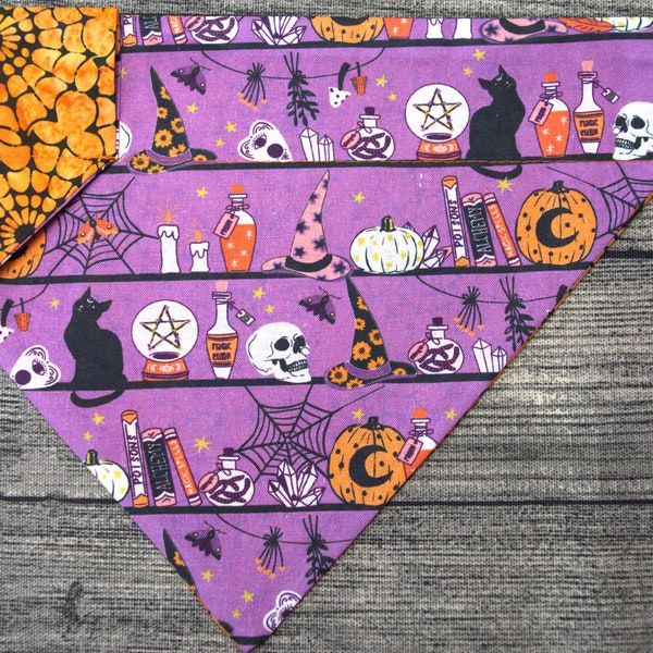 Halloween Dog Bandana-Over the Collar- Apothecaries Lab - Fall Pumpkin Spice Trick or Treat