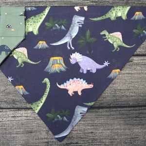 Dog Bandana-Over the Collar- Dino Life! Prehistoric Kids Friends Party