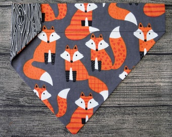 Fall Dog Bandana-Over the Collar- Frisky Fox - Woods Trees Friendly Pumpkin Spice