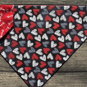 Valentine Dog Bandana- Over The Collar -Chalkboard Hearts & Arrows - Sweetheart Will you Marry Me! Love Anniversary