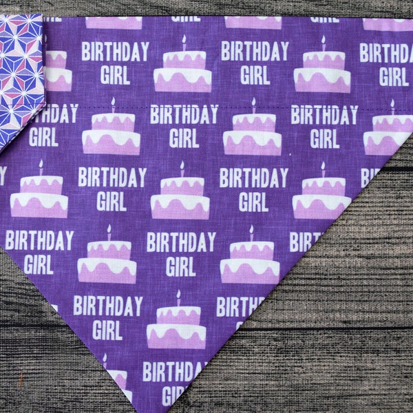 Happy Birthday Dog Bandana-Over the Collar- Birthday Girl Cupcakes- Celebration