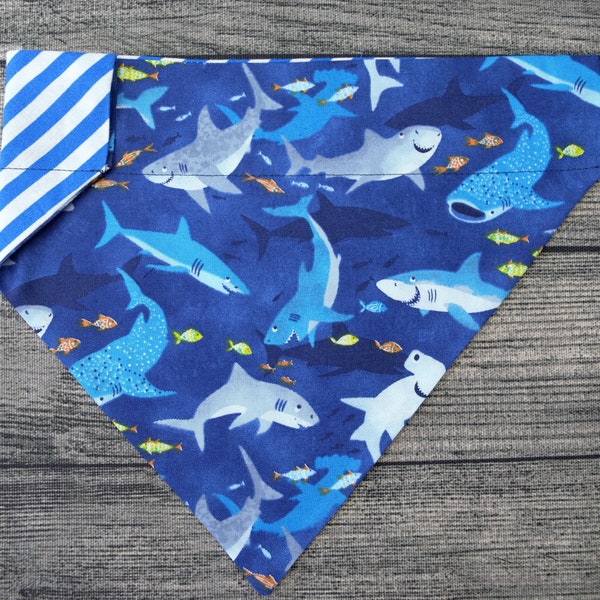 Shark Week Summer Dog Bandana - Over the Collar - Smiley Shark!!!- Vacation Beach Ocean