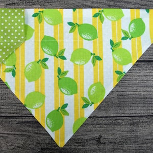 Dog Bandana-Over the Collar- Key Limes- Summer- Vacation Margarita&#39;s Backyard Party