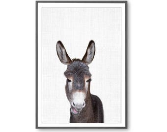 donkey poster kids etsy