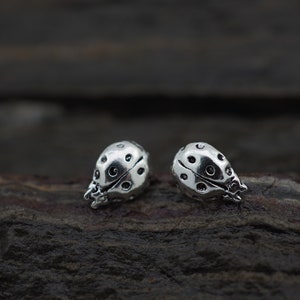 Marienkäfer Ohrringe, 925 Sterling Silber, Marienkäfer Ohrstecker, Käfer Ohrringe, Minimalist Ohrring, Silber Ohrstecker, Geschenk