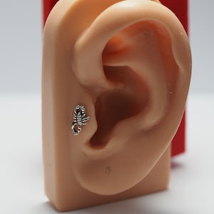 Sterling Silber Skorpion -20, 18, 16g Chirurgischer Edelstahl Labret Barbell, Push Pin Post, flache Rückseite, Knorpelohrring
