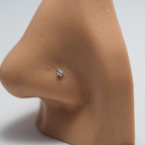 Könnte beinhalten: Nahaufnahme eines transparenten Nasenrings mit einem kleinen, runden, klaren Edelstein. Der Ring wird in der Nase eines Modells getragen.