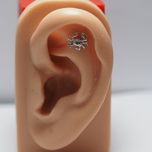 Sterlingzilveren krab: 16 g, 18 g, 20 g Chirurgisch roestvrijstalen labret-halter, pushpin-paal, platte achterkant, kraakbeenoorbel