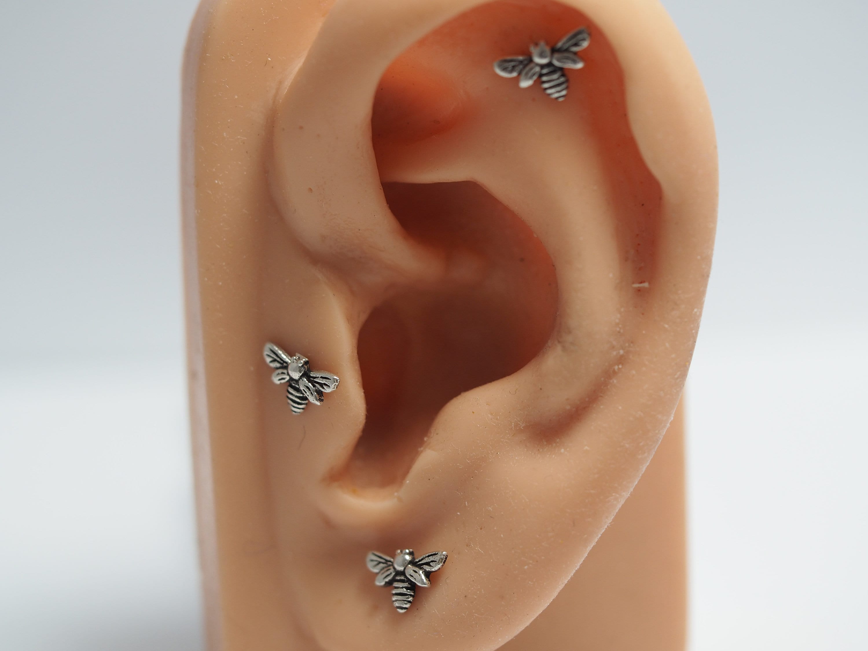 Tragus Ear Piercing Guide: Nuts And Bolts Of The Tragus – Piercing Ya Body  Jewelry