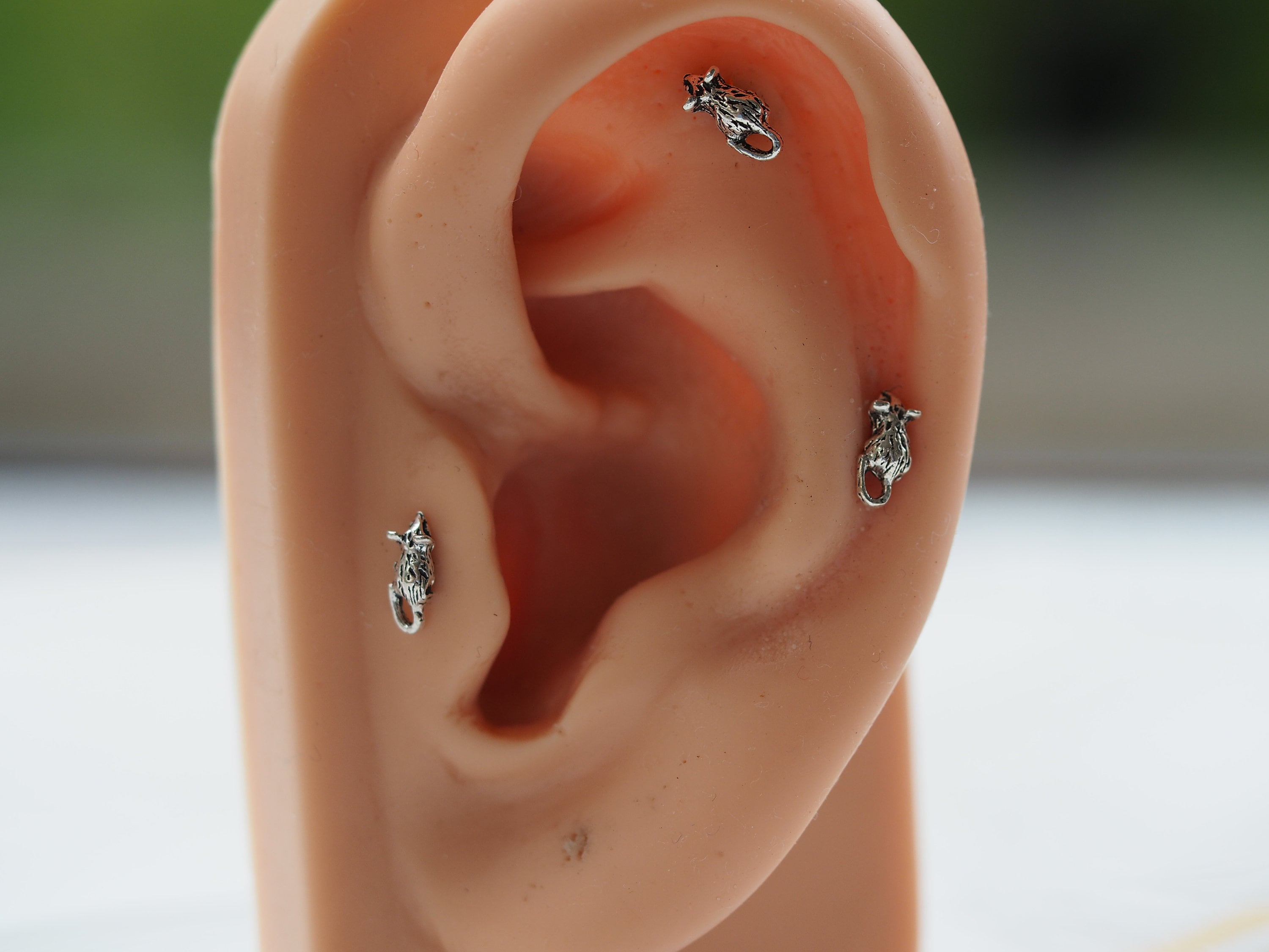 Sterling Silver Rat Labret: Surgical Steel Push Pin Cartilage