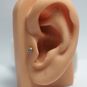 Piercing para labio de acero inoxidable quirúrgico con forma de calavera de plata de ley (20 g, 18 g y 16 g), con pasador de presión, parte trasera plana, para cartílago y piercing.
