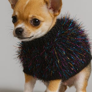 Op de afbeelding: Een kleine Chihuahua-hond, bruin en wit, draagt een zwarte trui met kleurrijke, sprankelende franjes. De hond heeft grote, donkere ogen en kijkt naar voren. De trui voegt een vleugje glamour toe aan de outfit van de hond.