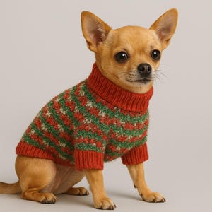May include: A small, light brown Chihuahua dog wearing a red, green, and white patterned sweater with a turtleneck collar. The dog is sitting and looking forward, with its ears perked up.