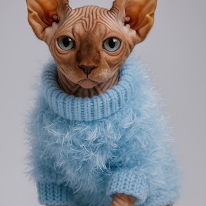 Pode incluir: Um gato Sphynx sem pêlos usando um suéter azul claro e fofo. O gato tem pele marrom, orelhas grandes e olhos azuis. O suéter tem gola e punhos canelados. O gato está sentado e olhando diretamente para a câmera.