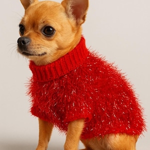 Könnte beinhalten: Ein kleiner, hellbrauner Chihuahua-Hund, der einen leuchtend roten, flauschigen Pullover mit Rollkragen trägt. Der Hund sitzt und blickt nach links. Der Pullover hat ein strukturiertes, flauschiges Aussehen.