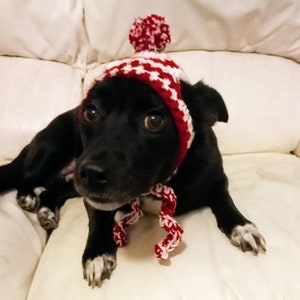 Christmas Pet hat - Crochet xmas Dog Cat hat with pompom - Headwear for pets.