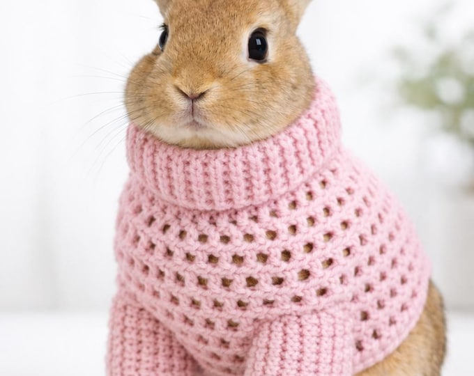 Crochet Pattern Rabbit Sweater, Rabbit Clothes Pattern - Etsy Canada