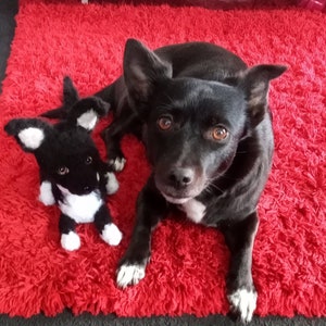 Made from photo amigurumi needle felted Replica - Clone my pet - Dog cat keepsake. Jack Russell Terrier