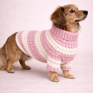 Puede incluir: Un perro pequeño y marrón que lleva un suéter de punto grueso a rayas rosas y blancas con cuello alto. El perro está de pie sobre una superficie rosa, mirando hacia la derecha. El suéter cubre el cuerpo y las patas delanteras del perro.