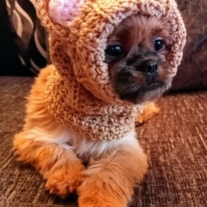 Haustier Teddy Bär Snood - Gehäkelte Hund Katze Kopfbedeckung.