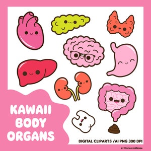 Imágenes prediseñadas de órganos corporales kawaii, imágenes prediseñadas de corazón kawaii, imágenes prediseñadas de cerebro kawaii, imágenes prediseñadas de estómago kawaii, imágenes prediseñadas de riñones kawaii, imágenes prediseñadas de hígado kawaii