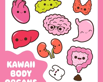 Kawaii body organs clipart, kawaii heart clipart, kawaii brain clipart, kawaii stomach clipart, kawaii kidneys clipart, kawaii liver clipart