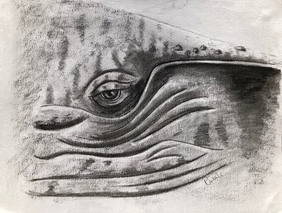 Ojos de ballena en capucha