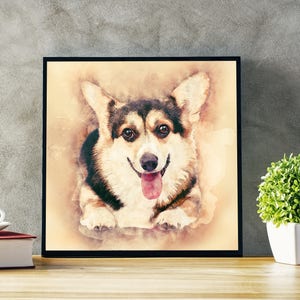 Calico corgi cheap