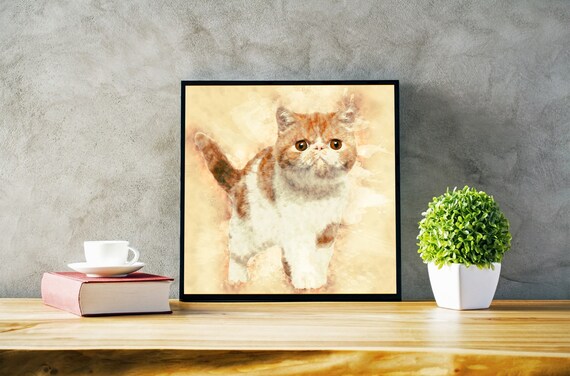 Exótico De Pelo Corto Gato Love Regalo Camiseta