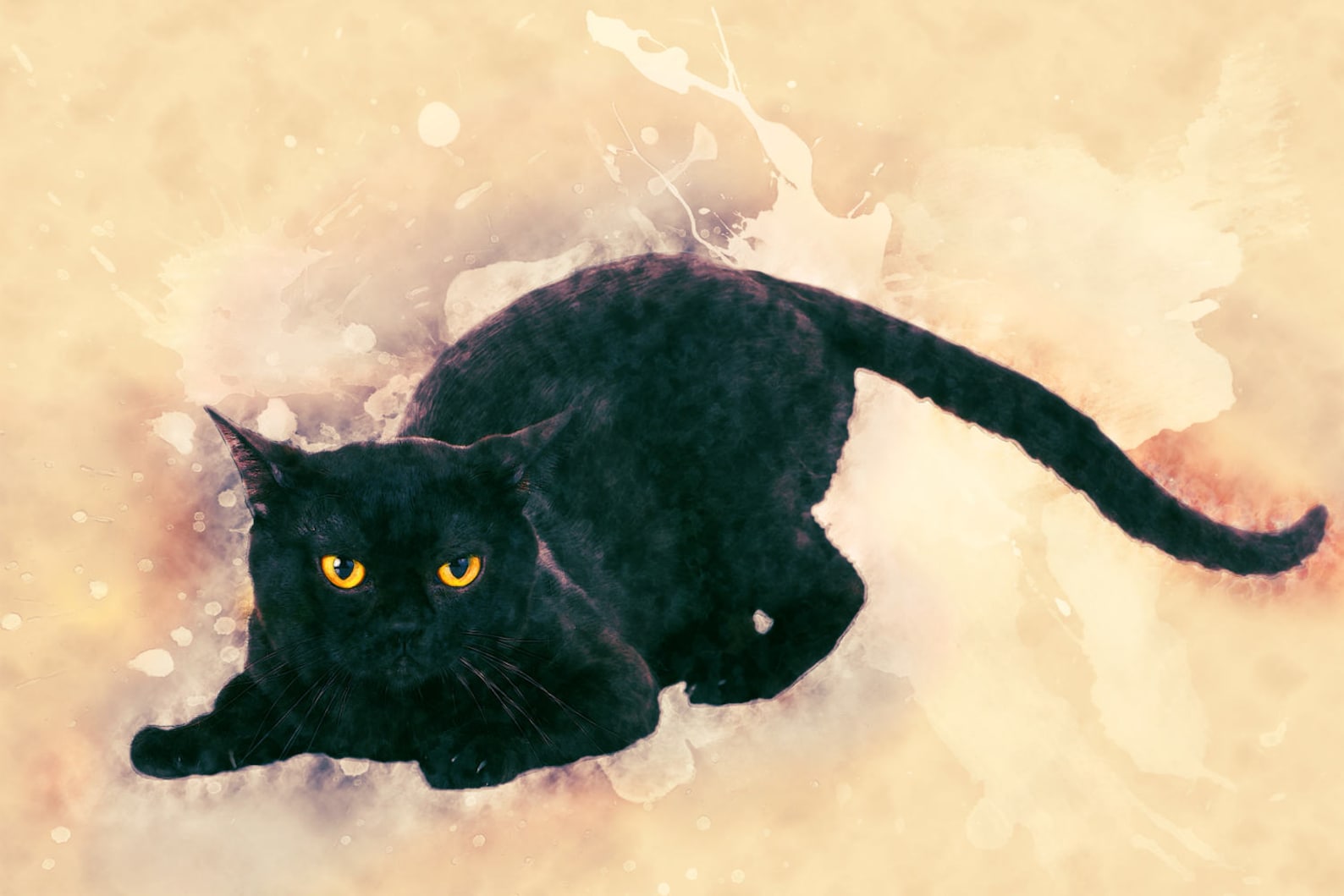 Bombay Cat Art Custom Animal Print Custom Cat Wall Art Awesome Etsy