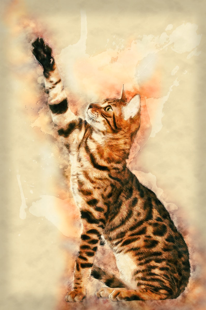 Рисунки бенгальских кошек