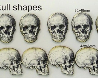 SKULLS 2 different shapes. 12 x in the pack
