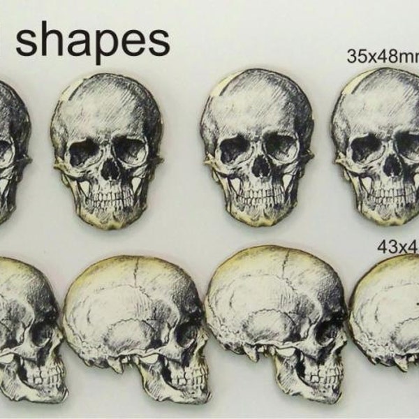 SKULLS 2 different shapes. 12 x in the pack