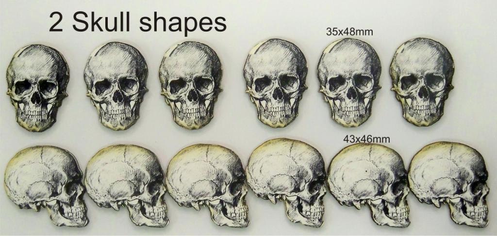 Skulls 2 Different Shapes 12 X In The Pack Etsy Skulls 2 Different Shapes 12 X In The Pack Etsy