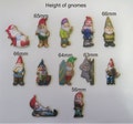 GARDEN GNOMES.  A pack of 12 X little fellows product logo