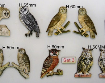 Owls.  Nocturnal birds of prey.  10 x in a pack