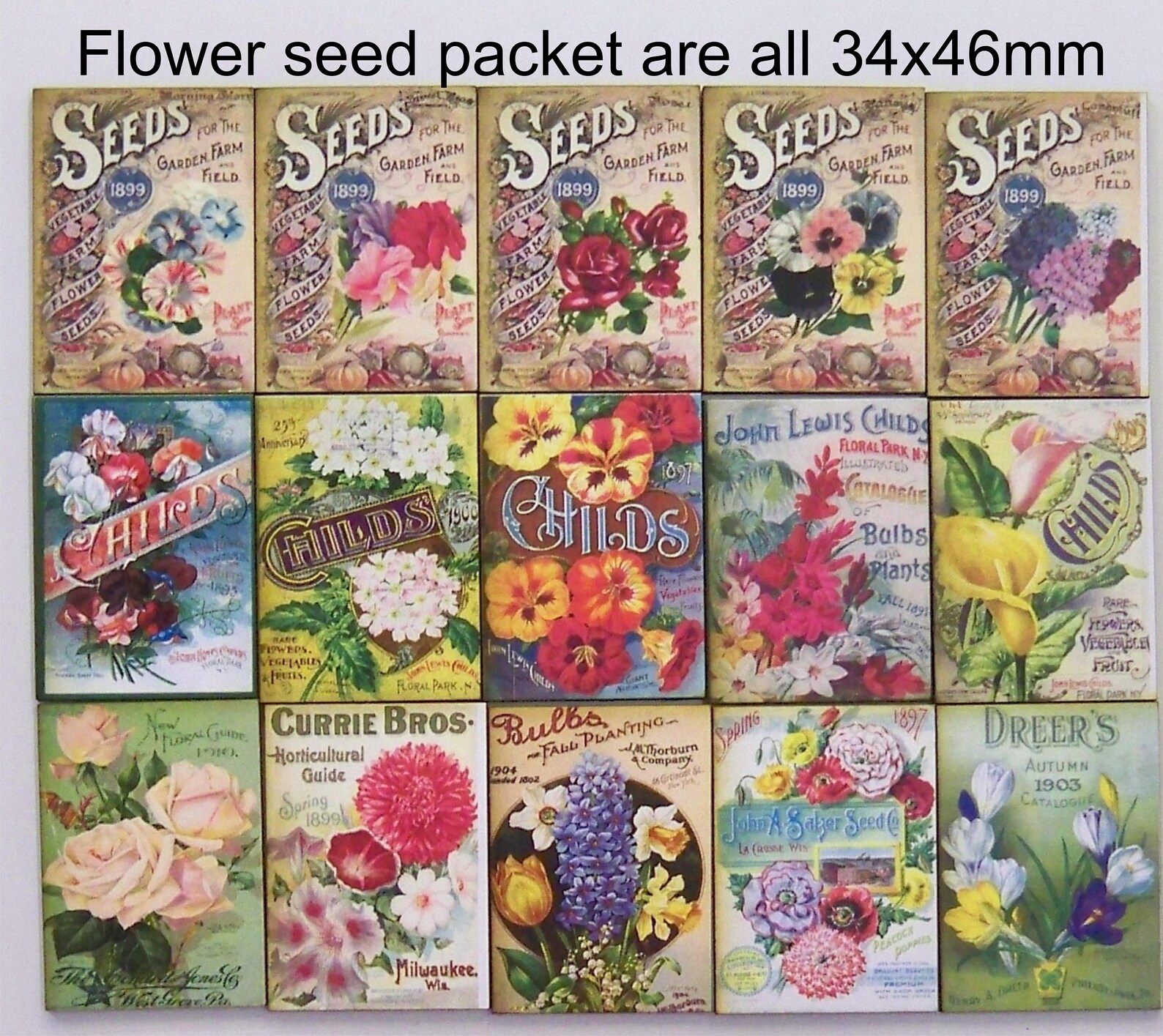 SEED PACKETS Covers FLOWERS Bright and Beautifull | Etsy