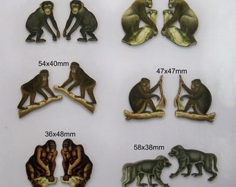 Primate une collection de 12 singes et singes. SET DE 5