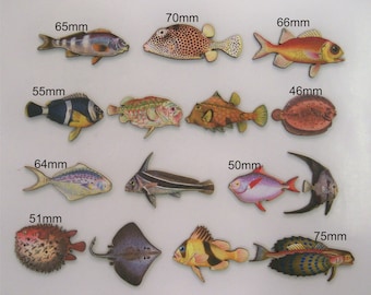 TROPICAL FISH From around the world